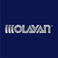 Olayan Financing Company